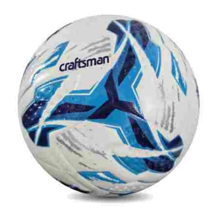 Art. 2417D-12P